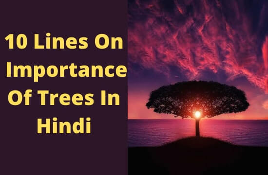 10 Lines On Importance Of Trees In Hindi