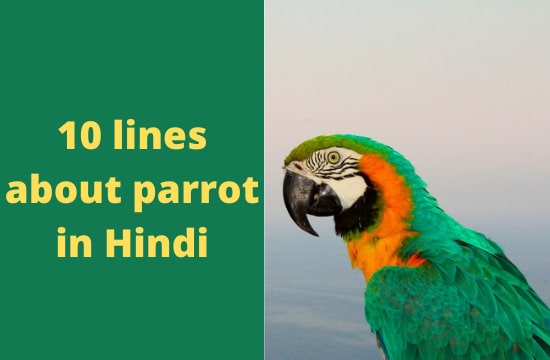 10 lines about parrot in hindi