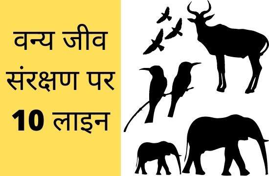 10 lines on Wildlife Conservation in Hindi